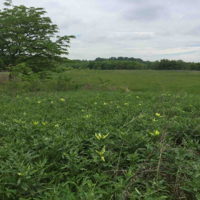 Kate Lovings P. R. A. Y. E. R Podcast