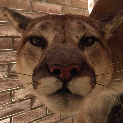 Kate Lovings P. R. A. Y. E. R Podcast