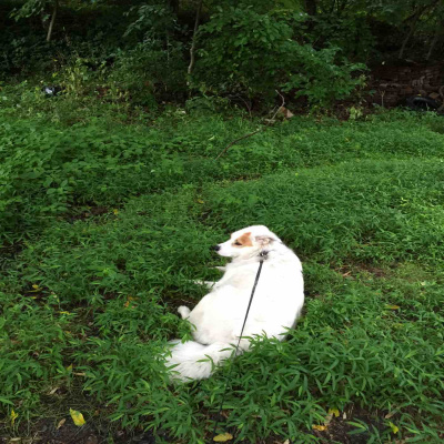 Kate Lovings P. R. A. Y. E. R Podcast