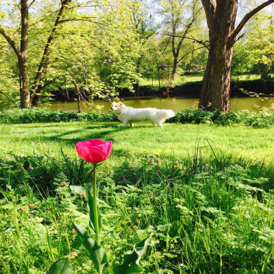 Kate Lovings P. R. A. Y. E. R Podcast