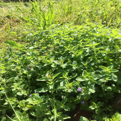 Kate Lovings P. R. A. Y. E. R Podcast