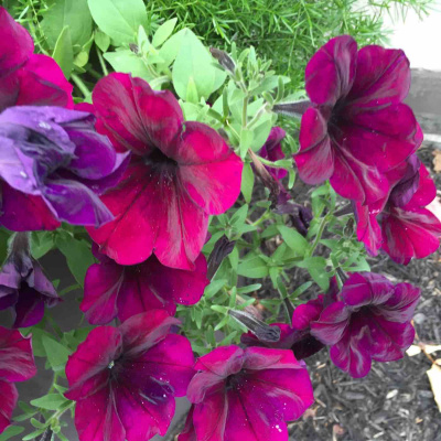 Kate Lovings P. R. A. Y. E. R Podcast