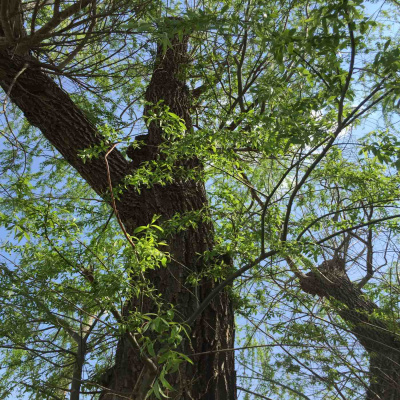 Kate Lovings P. R. A. Y. E. R Podcast