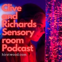 Clive and Richards sensory Room podcast number two - Design