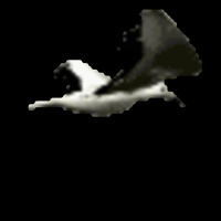 POMERIGGIO IN AUTO: III PUNTATA DELLA RIDUZIONE RADIOFONICA DELLA STORIA DELLA GABBIANELLA E DEL GATTO