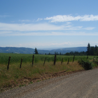 Ms. Ps Social Studies Podcast