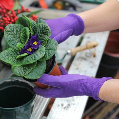 Nicola Morgans Podcast