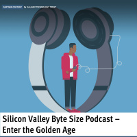 Partner content: Silicon Valley byte size - Enter the golden age