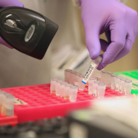 Companies  Markets Show: Fighting back