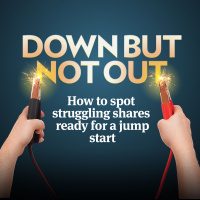 Companies  Markets Show: The January stock market sale!