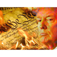 Donald Trumps America