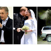 Jordan Peterson, Royal Confusion, and the Miracle of the Angel Moth