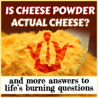 Is Cheese Powder Actual Cheese? (And more answers to lifes burning questions)