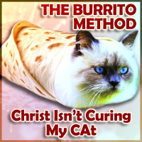 The Burrito Method: Christ Isnt Curing My Cat