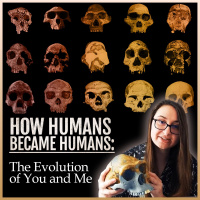 How Humans Became Humans: The Evolution of You and Me