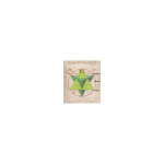 Nassim Haramein Complete