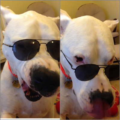 Personal Defense Talk