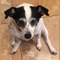 Mrs. DQs Advisory reflecting on Chapter 1