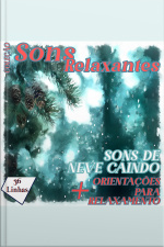 Coleção Sons Relaxantes - Sons De Neve Caindo