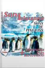 Coleção Sons Relaxantes - Sons De Pinguins