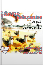 Coleção Sons Relaxantes - Sons De Gaivotas