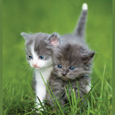 More Than A Few Words