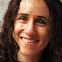 Heather Chaplin, Games and Journalism