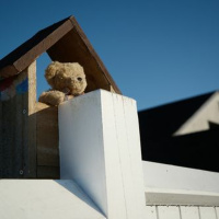 December 2020 Newsletter: The Good, the Bad and the Ugly