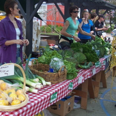 Allanahs Appleby Showcase