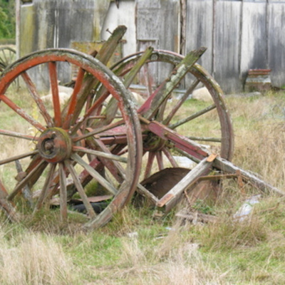 Allanahs Appleby Showcase