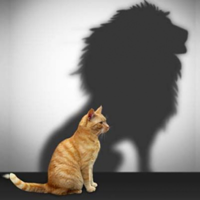 Transformative Coaching With Neena Madhok