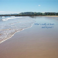 December Dream Goal Series Episode 4 Doing  Being