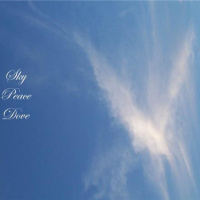 December Dream Goal Series Episode 2 Heartfelt dream