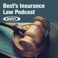 Bests Insurance Law Podcast : Effective Use of Visualizations in Claims Investigations