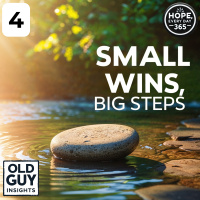 4. Small Wins, Big Steps: The Secret to Building Momentum - Hope, Every Day 365