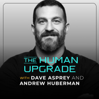 Dr. Andrew Huberman: Neuroscience Hacks for Peak Brain Performance and Stress Mastery : 1208