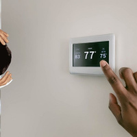 Swealtearing for No Reason! (Ep 426)