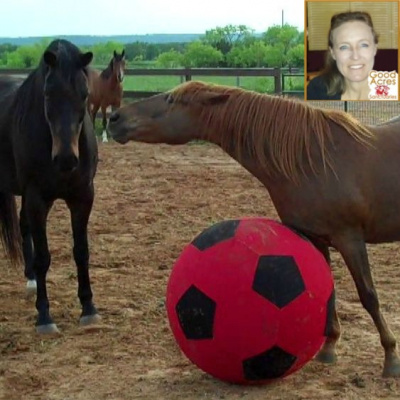 Expanding Horizons Podcast Show