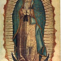Apación Guadalupana 3