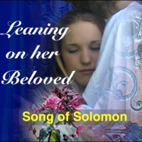 Song of Solomon class 13