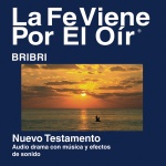 Bribri Biblia