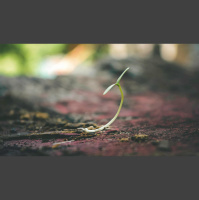 Episode 67: The Beginning of Life and IVF