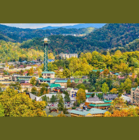 Episode 64: Believe It or Not