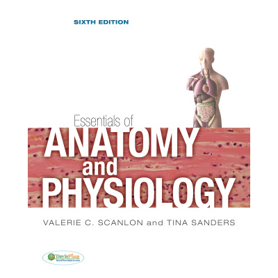 Essentials Of Anatomy And Physiology Sixth Edition