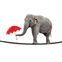 Humour - Zapp English Vocabulary and Pronunciation 3.6