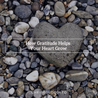 393: How Gratitude Helps Your Heart Grow