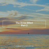 373: The Stress Effect part 2