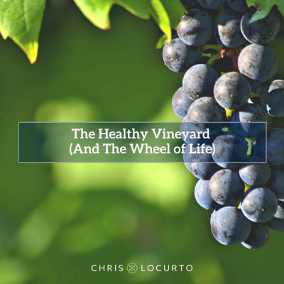 Chris Locurto: Entrepreneur, Leadership Coach, Life Strategy, Blogger