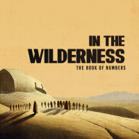 In The Wilderness: God’s Promise Still Stands - Tikae Mabelane