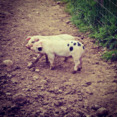 Zone 1 Radio - #londontastes With Allyson Munro